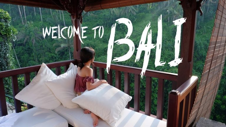 Read more about the article Welcome to Bali | Journey Vlog | Priscilla Lee