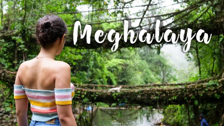 Read more about the article Backpacking In Meghalaya | NorthEast India Journey | Sohra, Residing Roots Bridge | Tanya Khanijow
