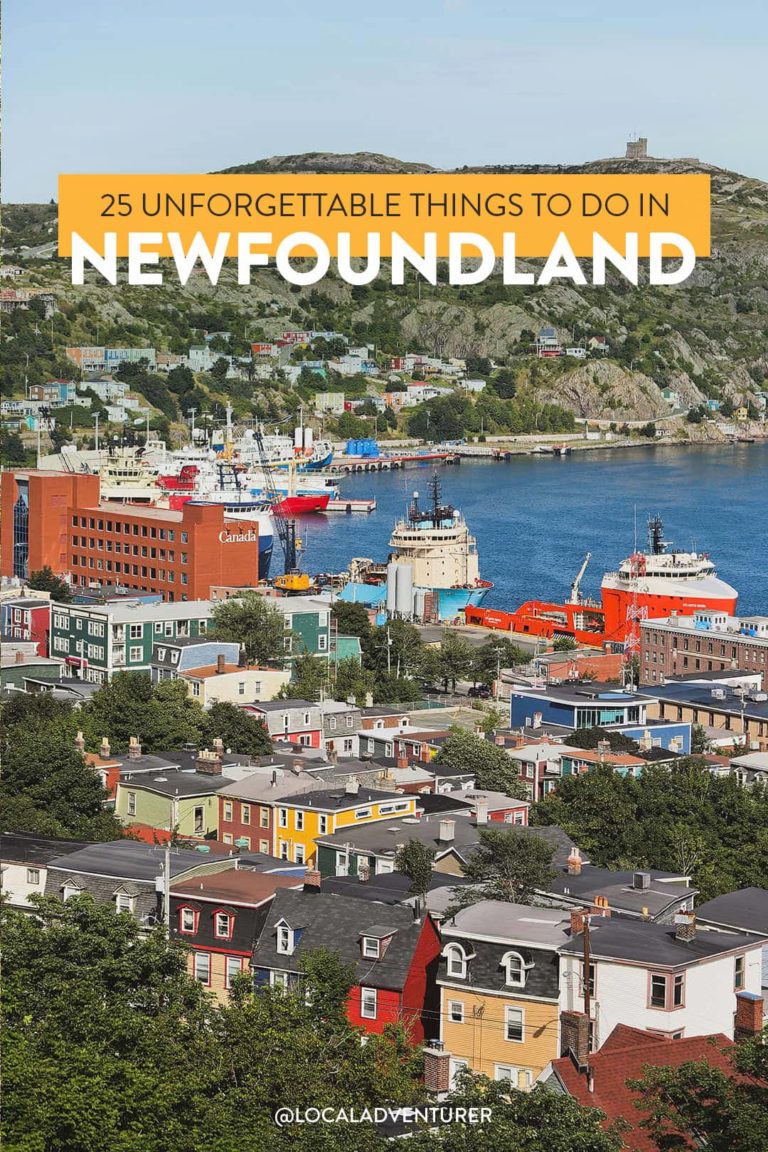 Read more about the article 25 Unforgettable Issues to Do in Newfoundland
