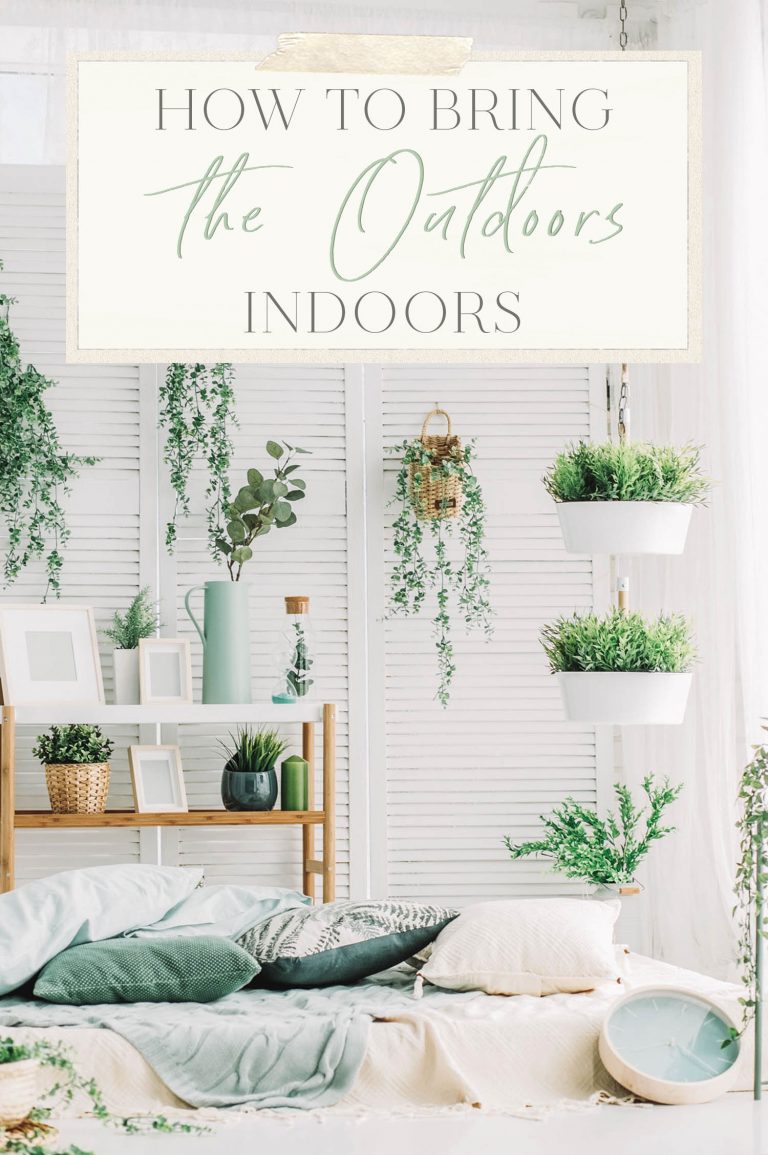 Read more about the article The way to Carry the Open air Indoors
