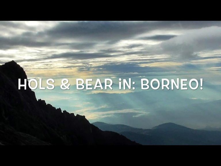 Read more about the article Hols & Bear's Journey Weblog: Borneo!