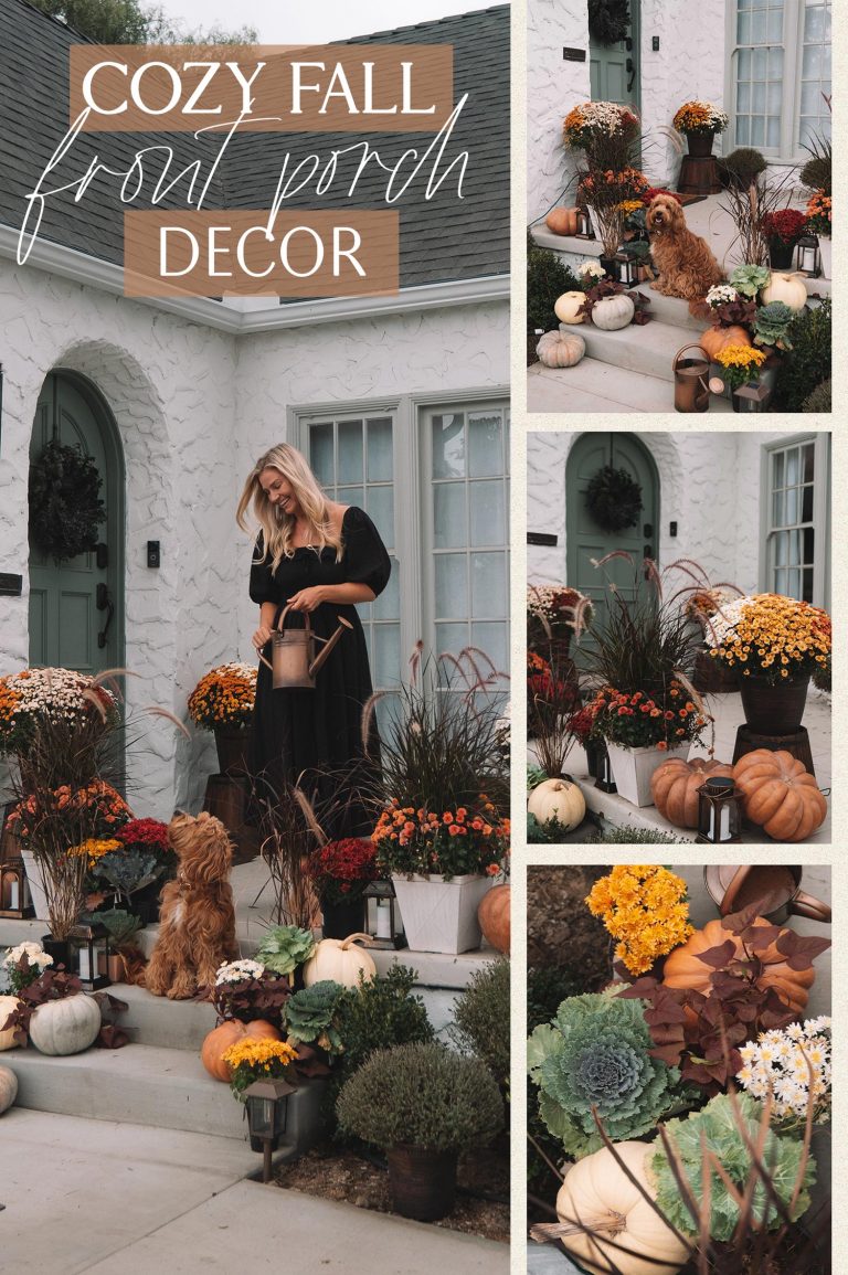 Read more about the article Our Cozy Fall Entrance Porch Decor