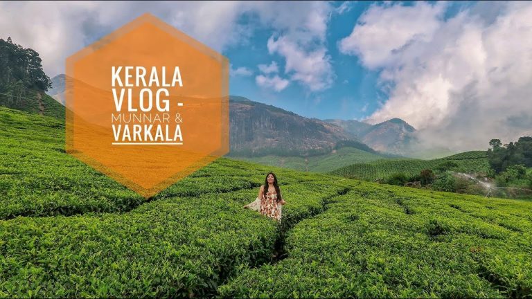 Read more about the article Kerala Journey Vlog – Munnar & Varkala | Indian Journey Weblog