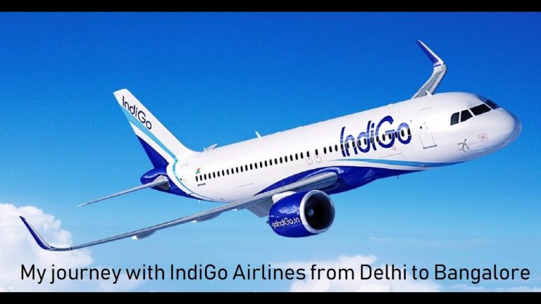 Read more about the article My journey with IndiGo Airways from Delhi to Bangalore | Journey Weblog | Ideas for First Time Flyers