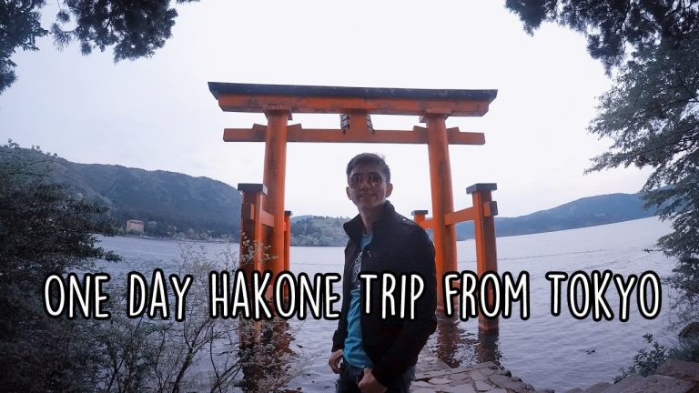 Read more about the article Japan Journey Weblog: Hakone Day Journey (From Tokyo to Hakone)