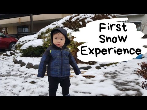 Read more about the article JAPAN TRAVEL BLOG – FIRST SNOW EXPERIENCE | SISONS VLOG