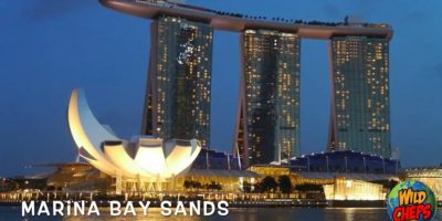 Wild Cheps – Singapore (Episode 3) Journey Weblog