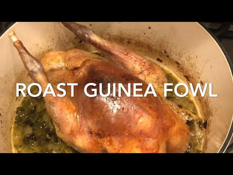 Read more about the article Roast Guinea fowl or Pintade/ meals and journey weblog