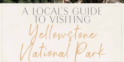 A Native’s Information to Visiting Yellowstone Nationwide Park