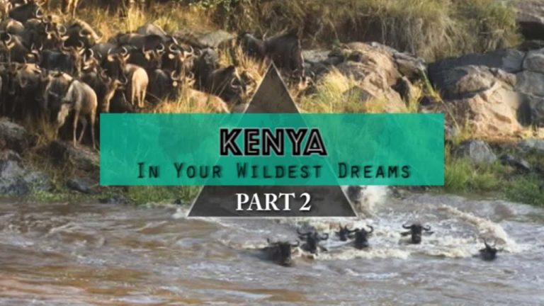 Read more about the article KENYA – In Your Wildest Desires – The Nice Migration (Journey weblog/Vblog) PART 2