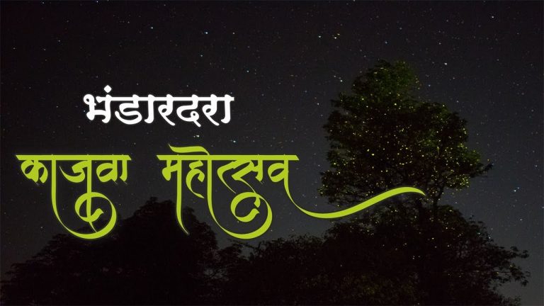 Read more about the article Fireflies Pageant 2019 | काजवा महोत्सव – भंडारदरा | Journey weblog