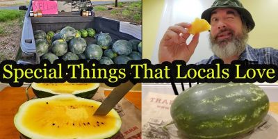 Journey Blogs with Particular Issues That Locals Love: Eat With Me Melon
