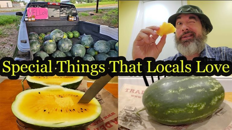 Read more about the article Journey Blogs with Particular Issues That Locals Love: Eat With Me Melon