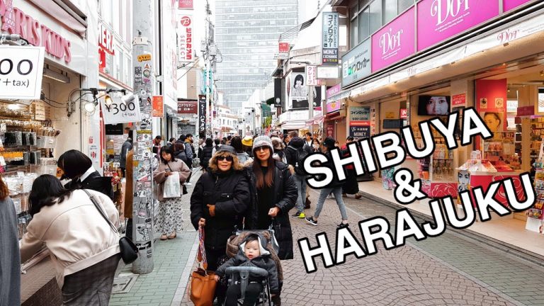 Read more about the article JAPAN TRAVEL BLOG – SHIBUYA AND HARAJUKU | SISONS VLOG