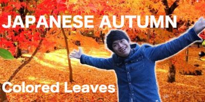 Wonderful Japanese Autumn Leaves in Tokyo | Japan Journey Weblog