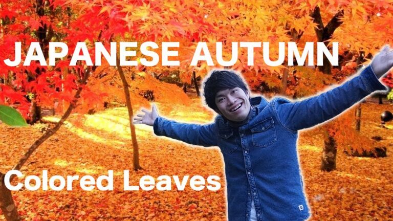 Read more about the article Wonderful Japanese Autumn Leaves in Tokyo | Japan Journey Weblog