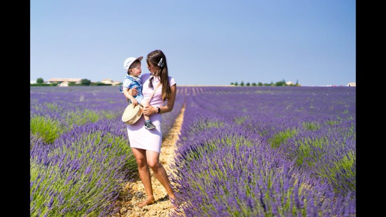 Read more about the article Journey weblog in Provence / French Riviera / St.Tropez / Sainte-Croix / Valensole / lavender fields
