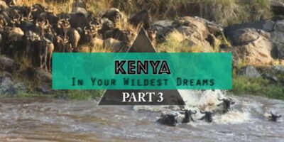 KENYA – In Your Wildest Desires – The Nice Migration (Journey weblog/Vblog) PART 3