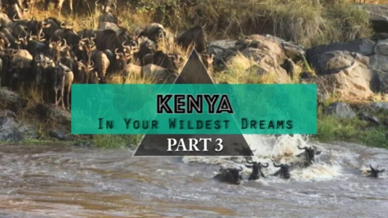 Read more about the article KENYA – In Your Wildest Desires – The Nice Migration (Journey weblog/Vblog) PART 3