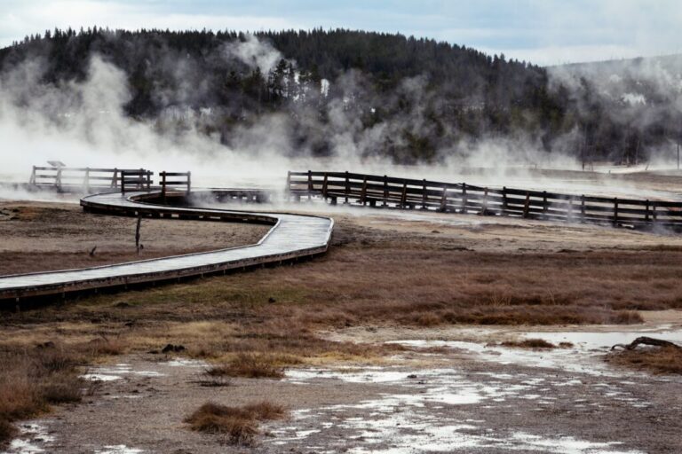Read more about the article Causes to Go to Yellowstone Nationwide Park in Winter