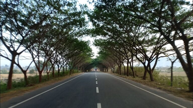Read more about the article Street journey from Nayagarh to Daspalla.. Journey weblog