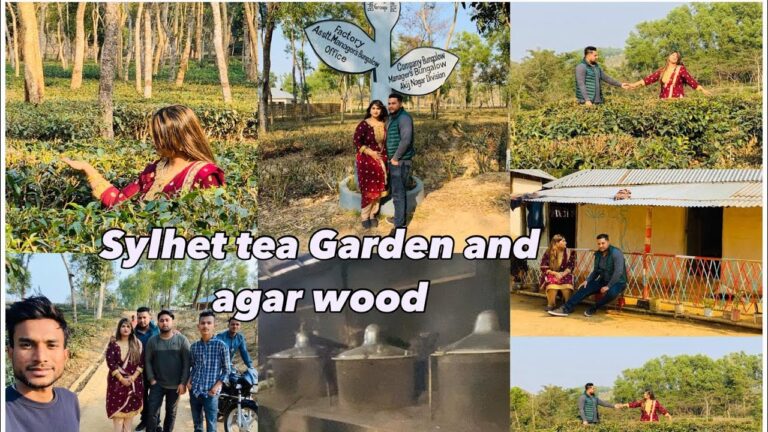 Read more about the article Sylhet tea backyard agar wooden making/ journey weblog #Sylhetivlog #Bangladeshiblog sylheti channel
