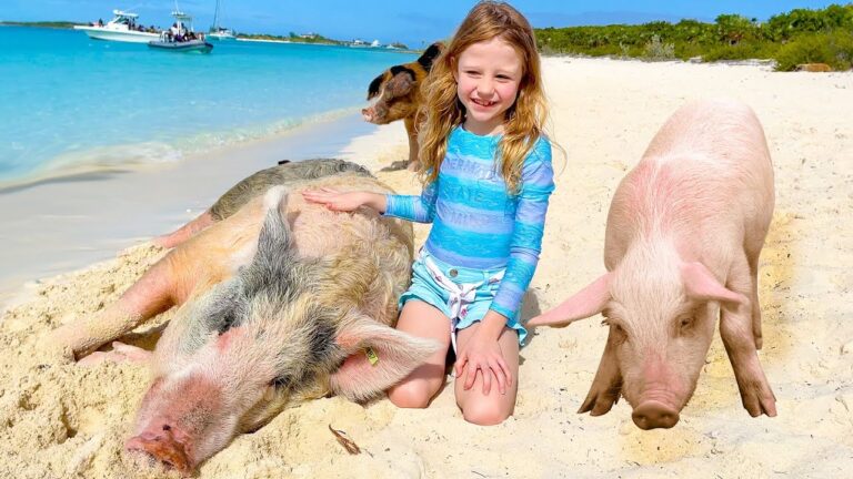 Read more about the article Nastya and her Household journey to the pig island