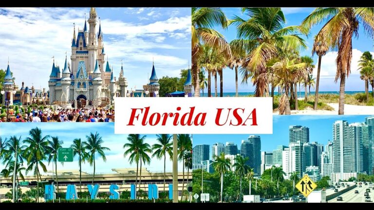 Read more about the article TRAVELLING TO FLORIDA | Florida Vlog | USA Journey Vlog | Orlando | Miami | আমেরিকা ভ্রমণ ব্লগ#Shorts