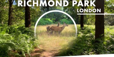I LOVE RICHMOND PARK ! | Journey Weblog