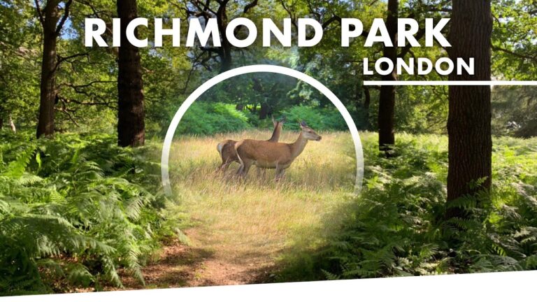 Read more about the article I LOVE RICHMOND PARK ! | Journey Weblog