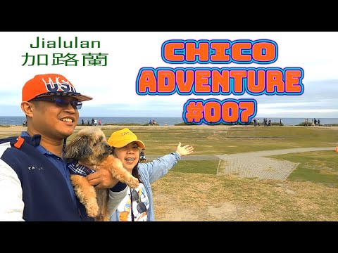 Read more about the article CHICO ADVENTURE #007, Jialulan 加路蘭. DOG VLOG, Taiwan Journey BLOG.