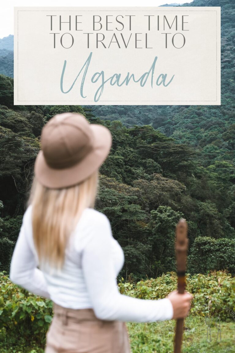Read more about the article The Greatest Time to Journey to Uganda