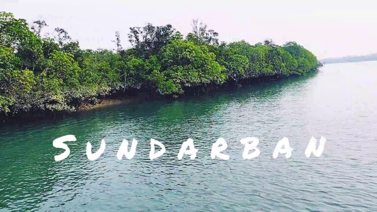 Read more about the article Great thing about bengal – Sundarbans, Mangrove forest || Sundarban tour || Cinematic journey weblog….