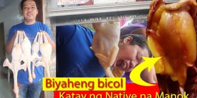 Paano magazine katay ng manok na buhay-Biyaheng bicol-travel weblog