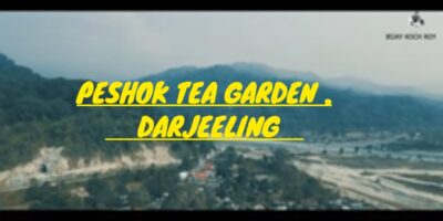 PESHOK TEA GARDEN | DARJEELING | BIKE KIRAYA | NORTH BENGAL | SILIGURI | TRAVEL BLOG