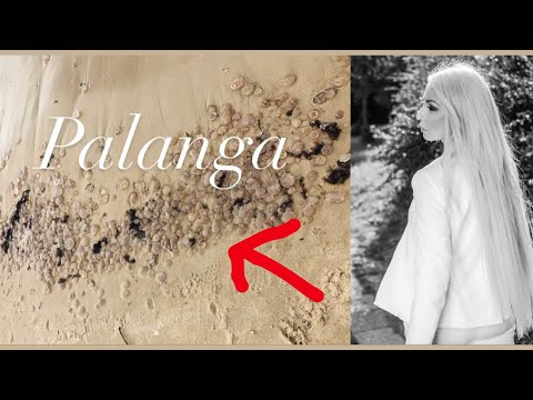 Read more about the article Sooner or later in Palanga seashore Lithuania Vlog | Journey Weblog | Palangos papludimys Lietuva