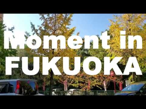Read more about the article FUKUOKA Journey Weblog【沖縄→福岡】JAPAN