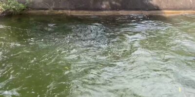 My journey weblog Aliyar Dam Pollachi