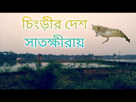 Read more about the article Satkhira Journey Weblog || Bangladesh || IAZ Vlogs