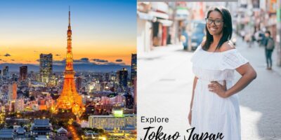 Tokyo Japan With Youngsters Vlog | Owl Cafe | Single Mother Household Journey Weblog