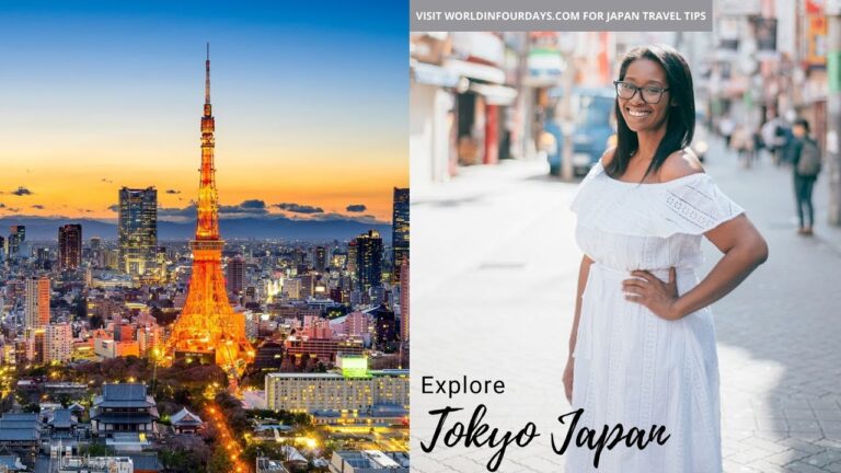 Read more about the article Tokyo Japan With Youngsters Vlog | Owl Cafe | Single Mother Household Journey Weblog