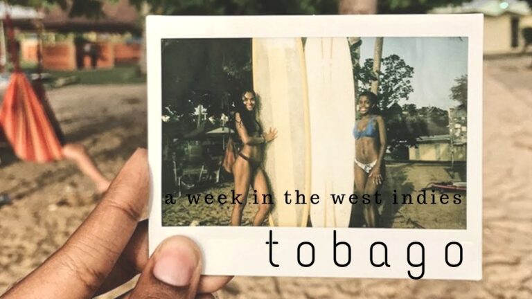 Read more about the article A Week in Tobago | Journey Weblog | journey trinbago