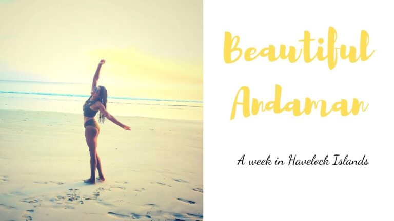 Read more about the article Andaman Journey Weblog ~ What to do in Andaman Islands