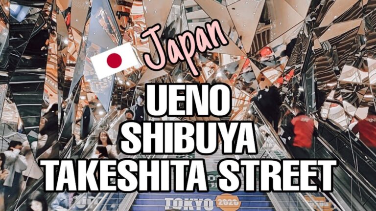 Read more about the article JAPAN TRAVEL BLOG – UENO, SHIBUYA &TAKESHITA STREET