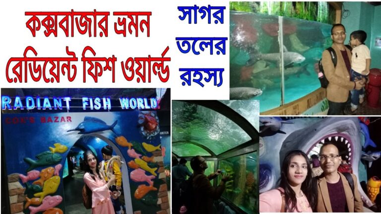 Read more about the article Journey Weblog: কক্সবাজার ভ্রমন। রেডিয়েন্ট ফিশ ওয়ার্ল্ড, সাগর তলের রহস্য।Radient Fish world,Cox’s Bazar