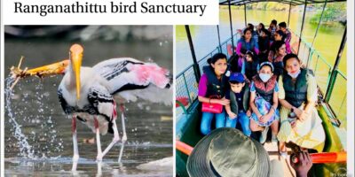 Go to to Ranganathittu chook Sanctuary | Boating in chook Sanctuary | Journey weblog @ Niya Shetty