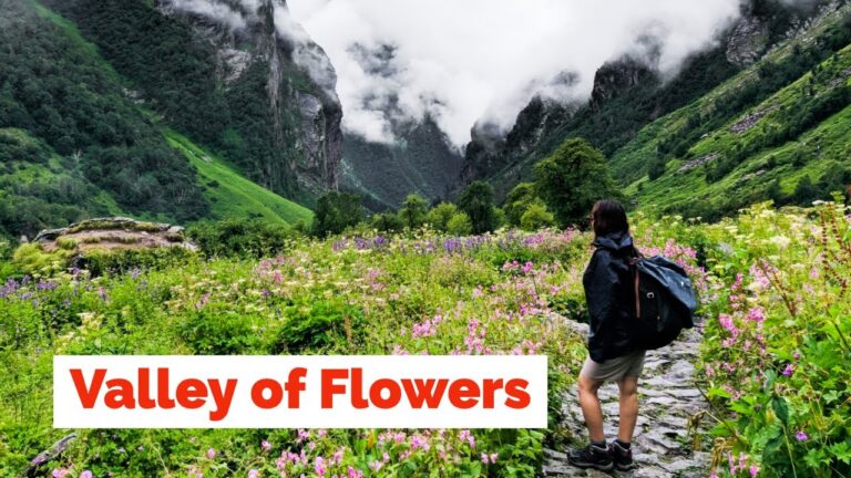 Read more about the article Valley of Flowers Trek | Uttarakhand | Heaven on Earth