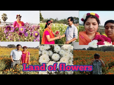Read more about the article চলুন ঘুরে আসি Land of flowers ক্ষীরাই।। Journey weblog।। Khirai weblog।।