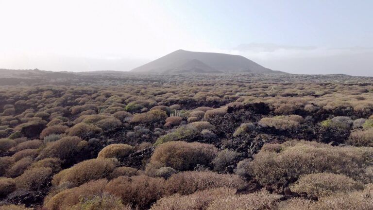 Read more about the article Malpaís de Güímar – The Badlands of Tenerife – Volcanic Coastal Landscapes – Canary Weblog