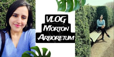 The Morton Arboretum park- Schuamberg Vlog #travelblog #tamil #vlog #mortonarboretum #illinois